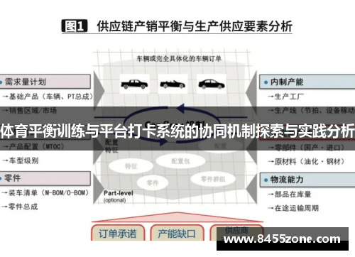 体育平衡训练与平台打卡系统的协同机制探索与实践分析
