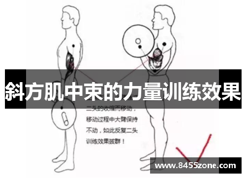 斜方肌中束的力量训练效果